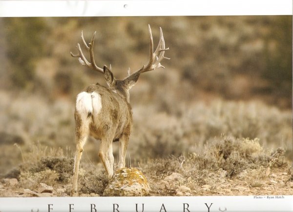 906muley_crazy_calender_2007.jpg