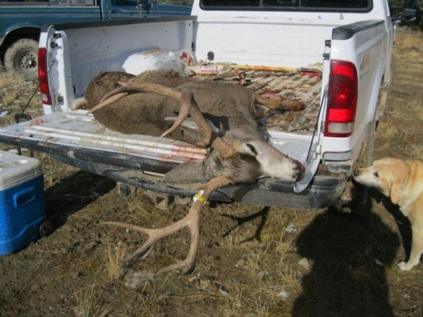 9282mombuck5.jpg