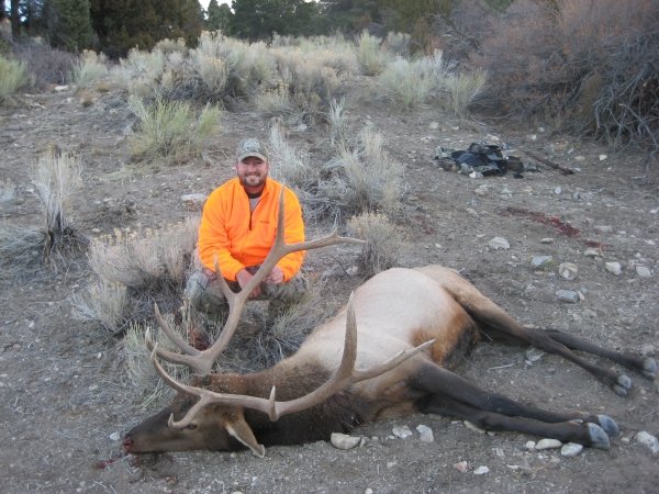 9355elk_hunt_001.jpg