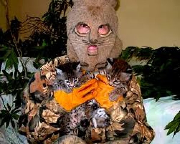 9428bocat_costume.jpg