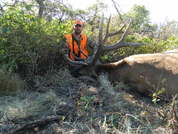 9573monster_muley2.jpg