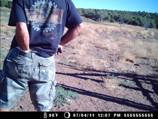 95trail_cam_007.jpg