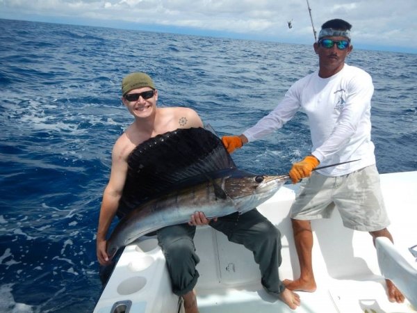 4257sailfish2.jpg