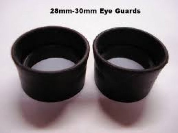 513eyeguards.jpg