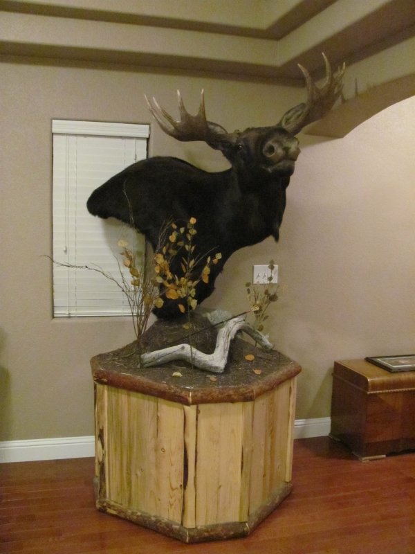 9623moosemount085.jpg