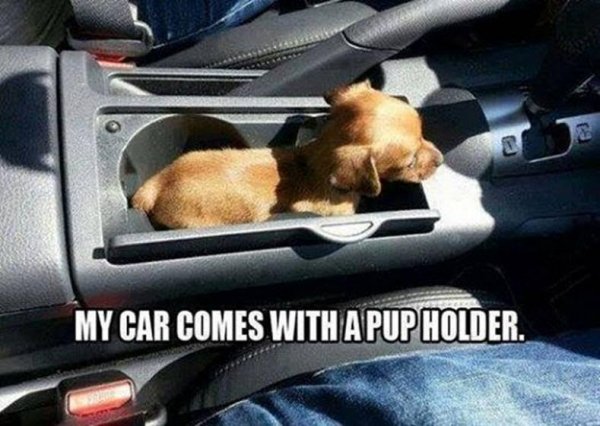 22694pupholder.jpg