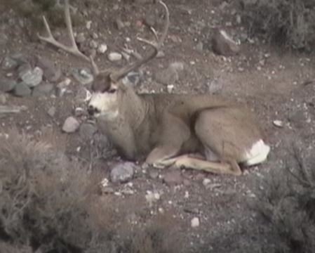 17239echocampground3pt.jpg