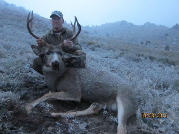 1291nevada_muley.jpg