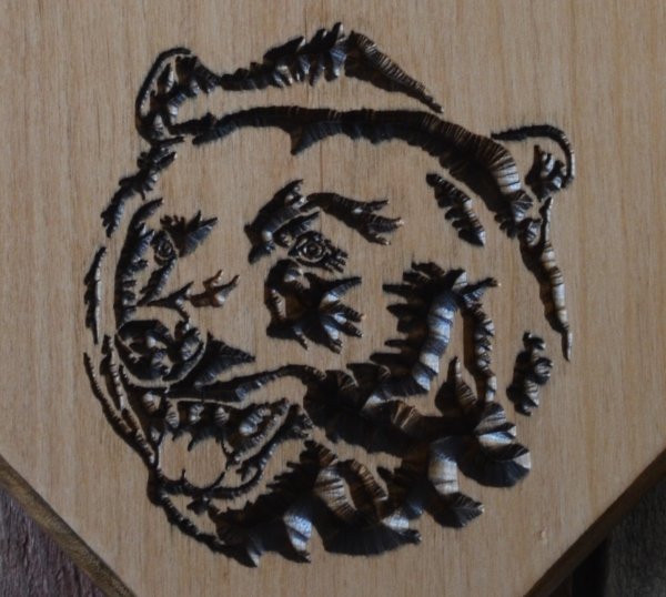 1490bear_carving_closeup..jpg