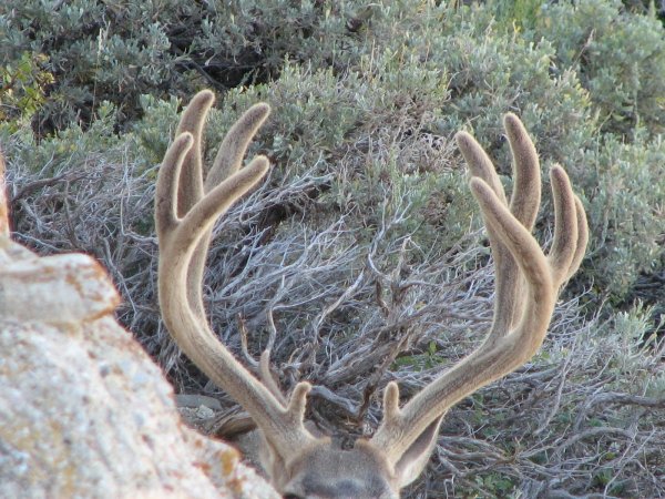 2509mulie_scouting_09_006.jpg