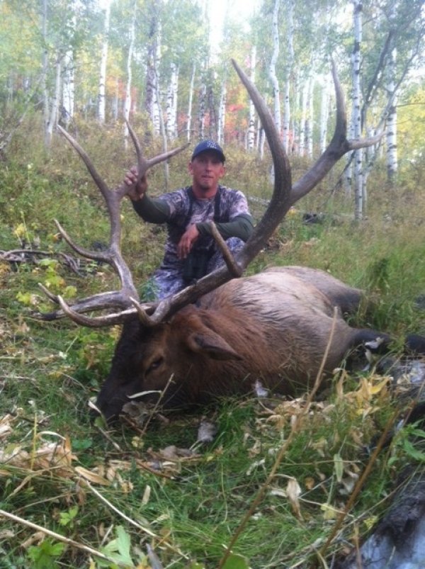 29232012_elk.jpg