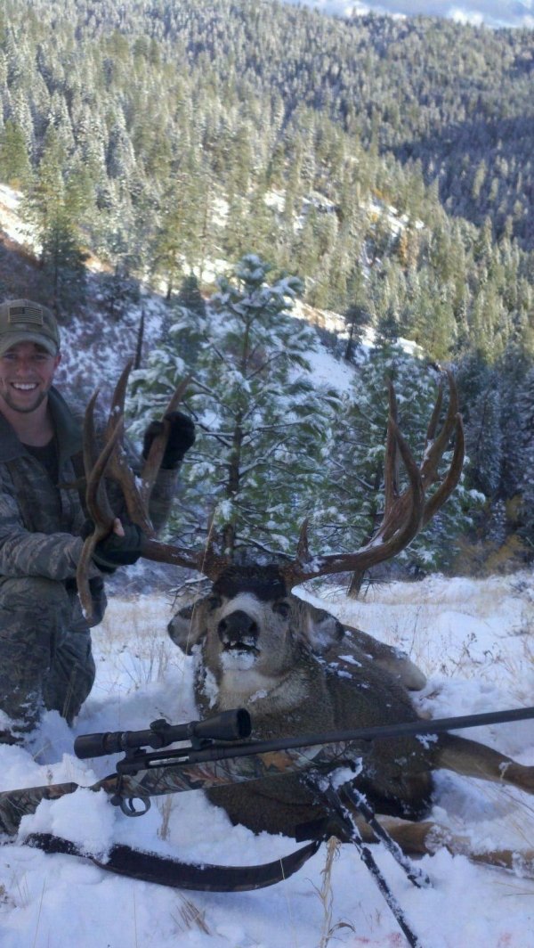 34872012_muley_antlers.jpg