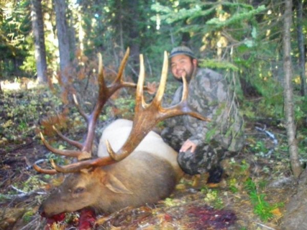 3802elk2012.jpg