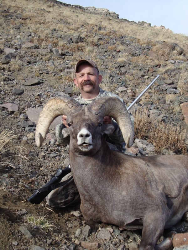 4135wyomingbighorn2010_059.jpg