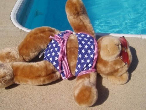 4342bear_tanning.jpg