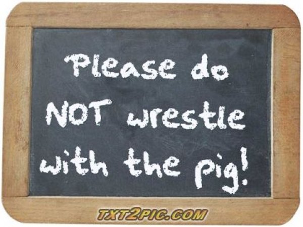 4597pigwrestle1.jpg