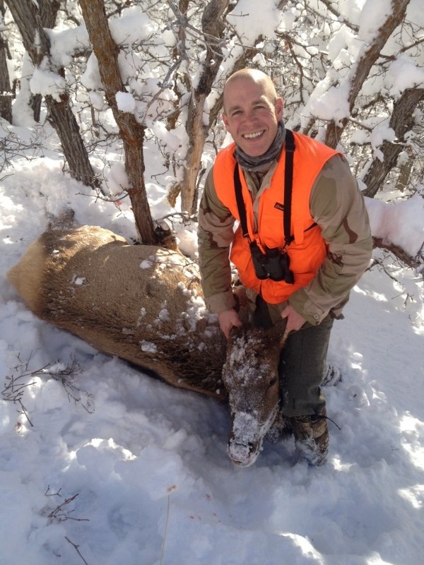 60722012_cow_elk.jpg