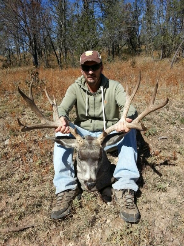 91242013_buck_2.jpg