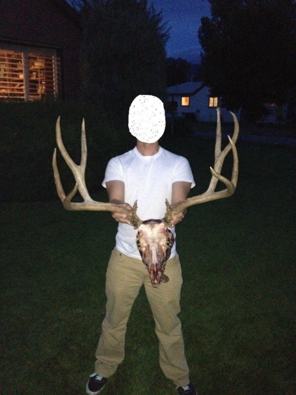 9342stolen_buck_2.jpg