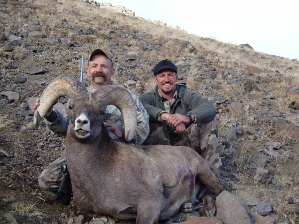 9543wyomingbighorn2010_064.jpg