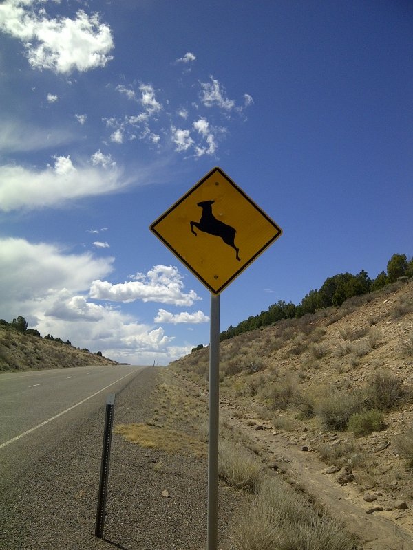 958doe_sign.jpg