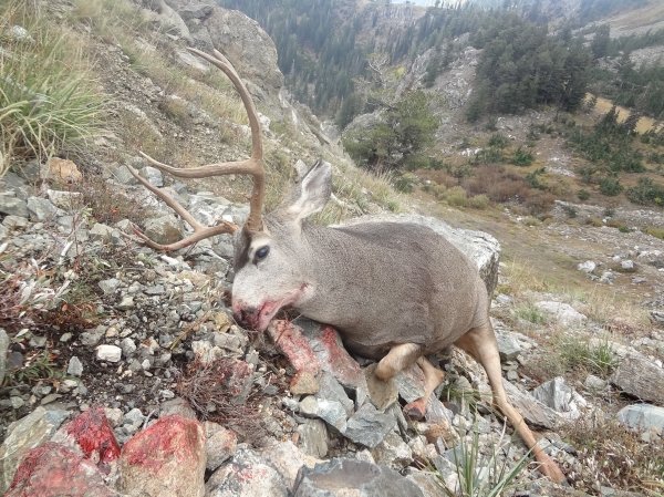 22552014_elk_hunt_043.jpg