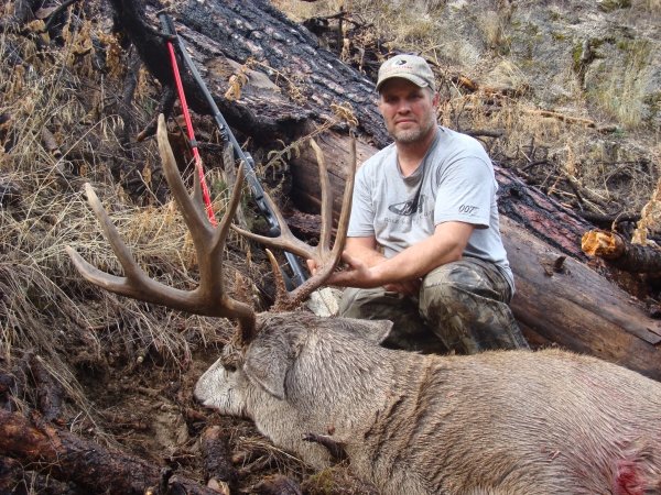 7912idaho_muley_2.jpg