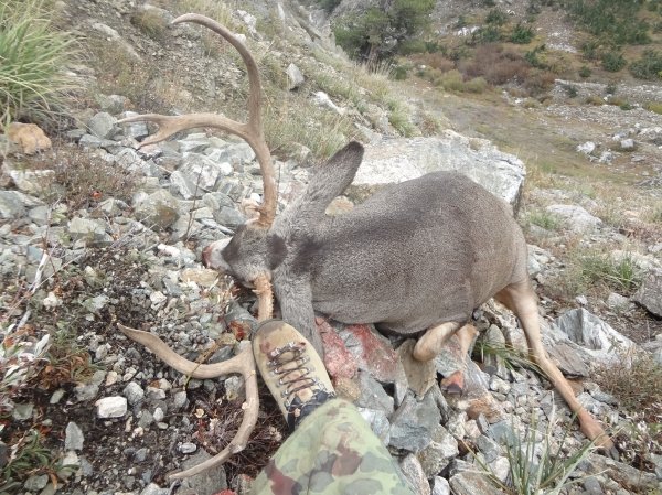 82172014_elk_hunt_044.jpg