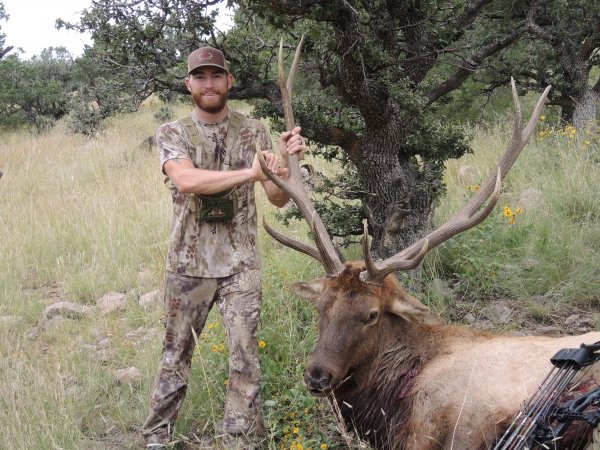 8299elk2015.jpg