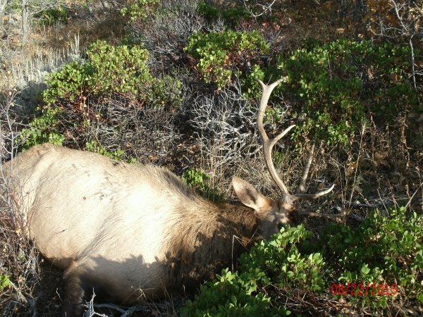 94432015elkhunt075.jpg