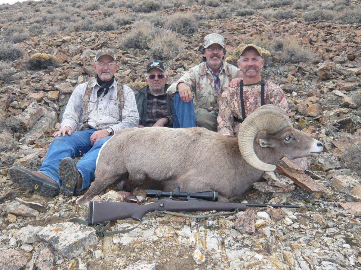 2010 Nevada Desert Sheep Unit 161 055.jpg