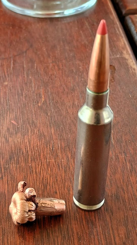 7mm PRC 160gr Hornady CX reduced.jpg