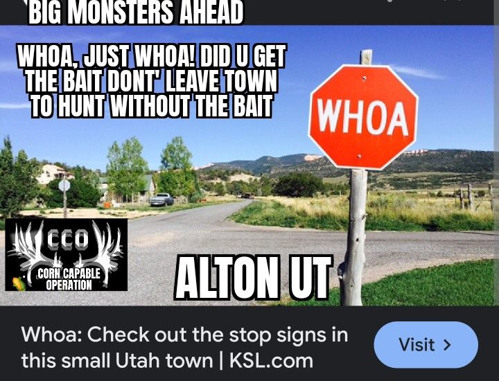 ALTON UT CCO WHOA.jpg