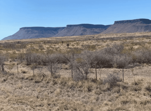 aoudad-hunts-1-png.png