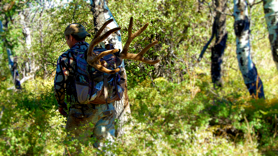 backpack deer1.png