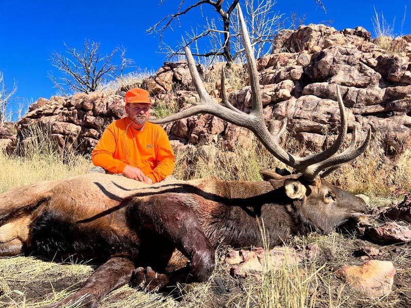 Big Bull Elk.jpg
