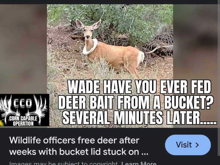 CCO DEER BUCKET.jpg