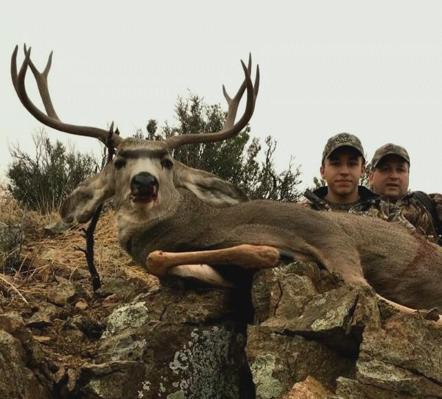Mule deer | New Mexico | Monster Muleys Community
