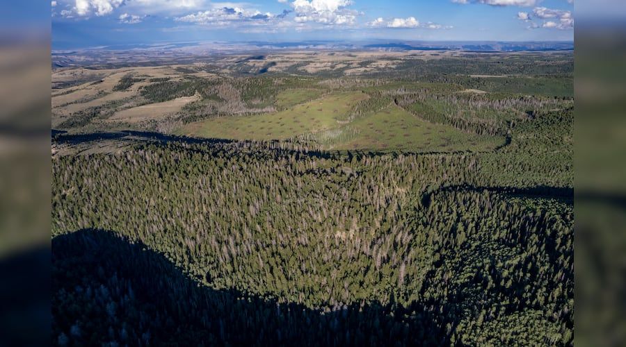 (Rick Egan | The Salt Lake Tribune) The Range Valley Ranch last month. When Siaperas bought the ranch, there were too many trees for his liking. “I wanted to see wildlife,” he said.