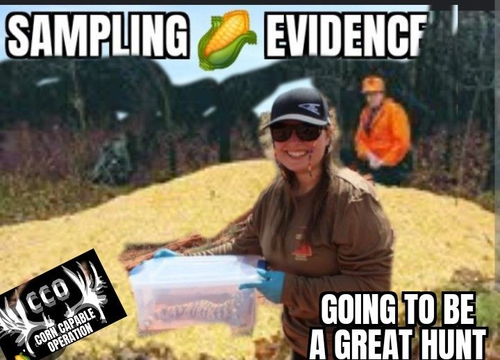 SAMPLING CORN CCO.jpg