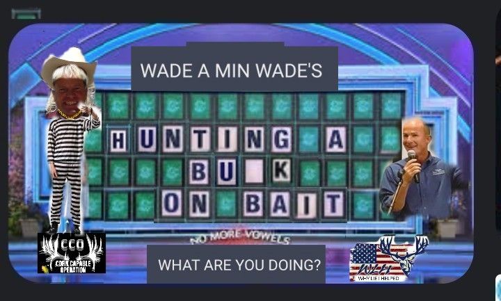 WHEEL OF WADES N BAIT.jpg