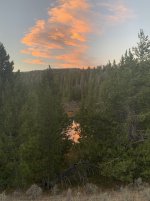 beaver pond.jpg