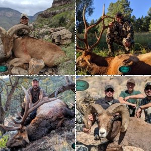 Southern New Mexico Big Game Hunting