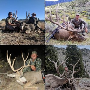 Timberline Outfitters Nevada