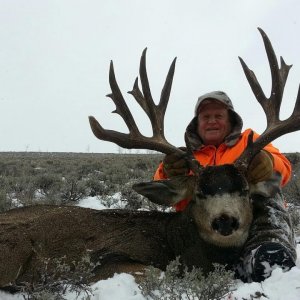 244" Colorado Mule Deer Hunt - Guinn Crousen - Muley Connection