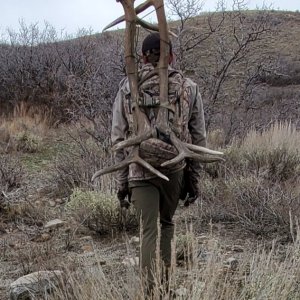 Big Antlers Scored for Robiland and His Son