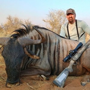 Wildebeest reduced.jpg