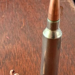 7mm PRC 160gr Hornady CX reduced.jpg