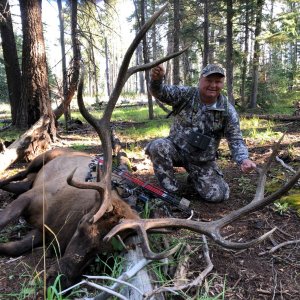 AZ elk 9-10-21.jpg