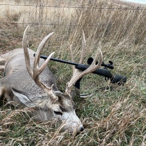 Nebraska Mulie.JPG